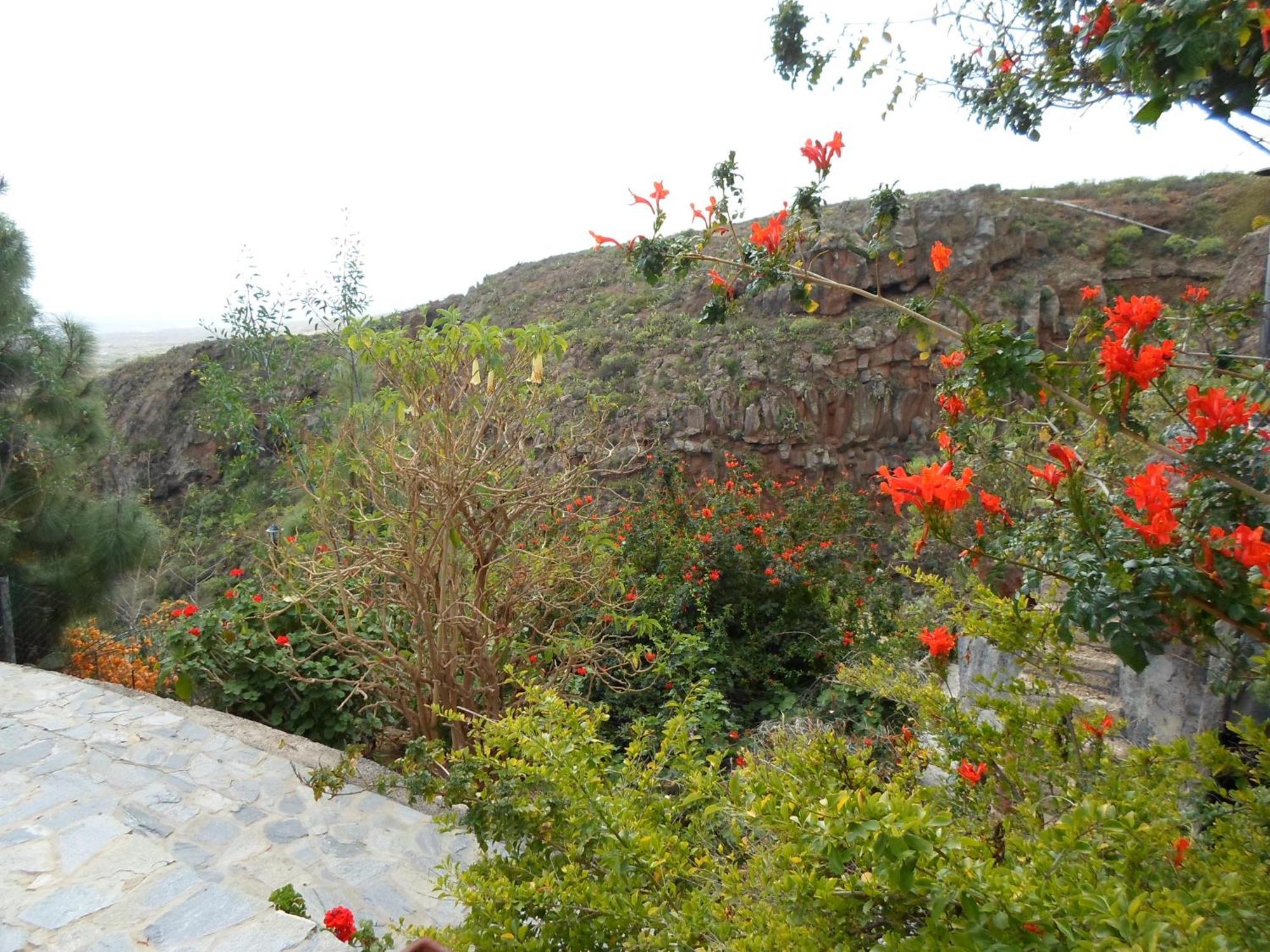 Finca Las Polinarias Casa Cueva En Fasnia Santa Cruz de Tenerife Exterior photo